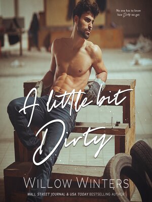 cover image of A Little Bit Dirty